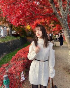 สตรีมเมอร์